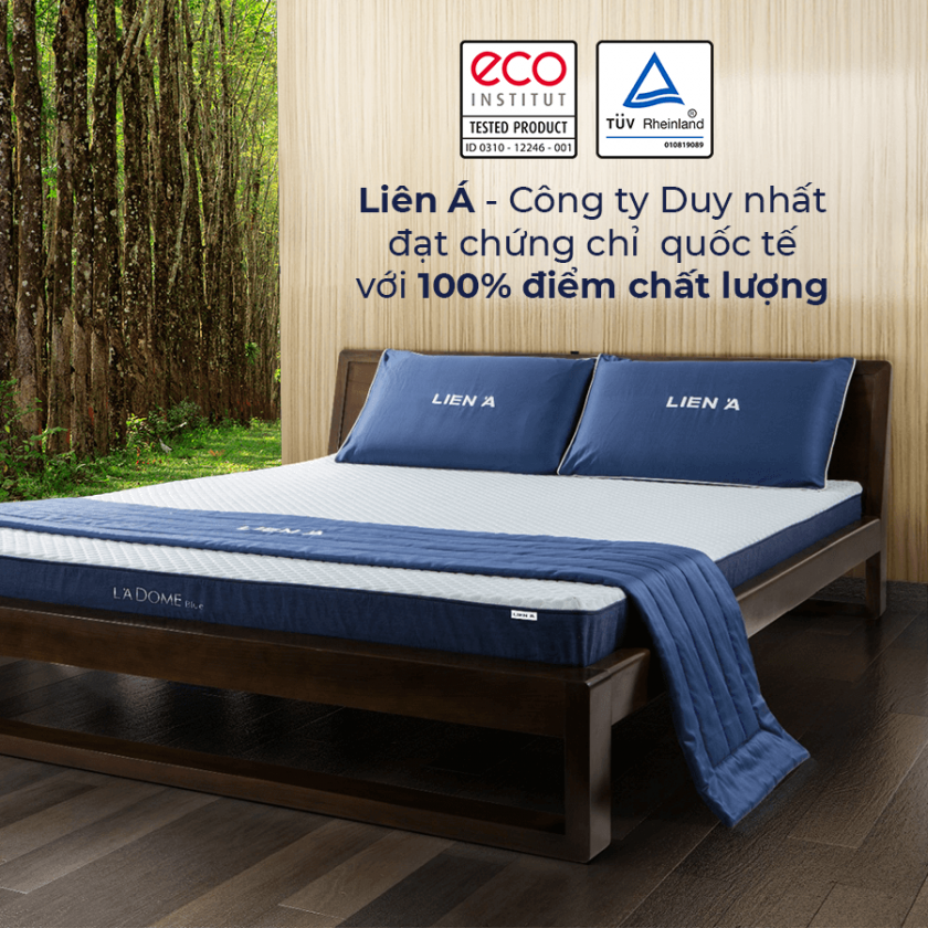 công ty nệm Liên Á