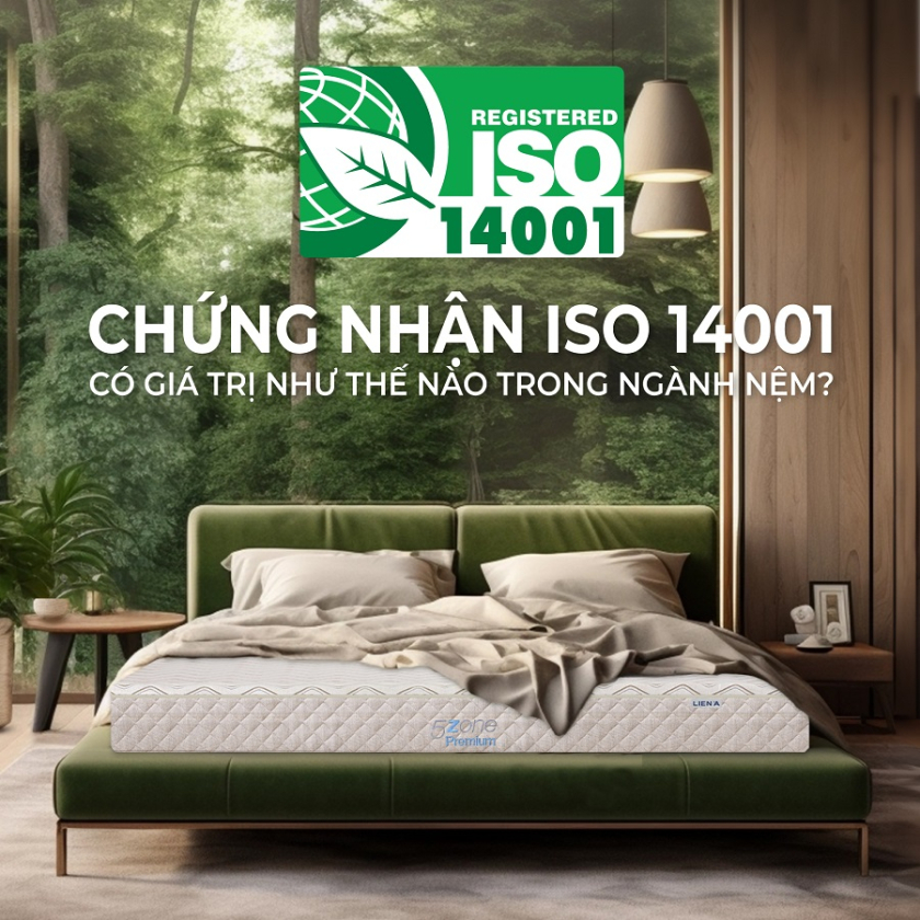 Chứng nhận ISO 14001 là gì? Ý nghĩa trong ngành công nghiệp giấc ngủ