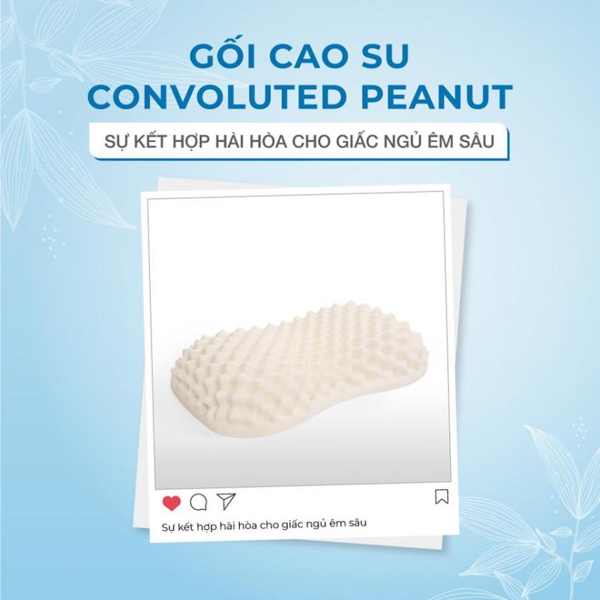 gối cao su massgae