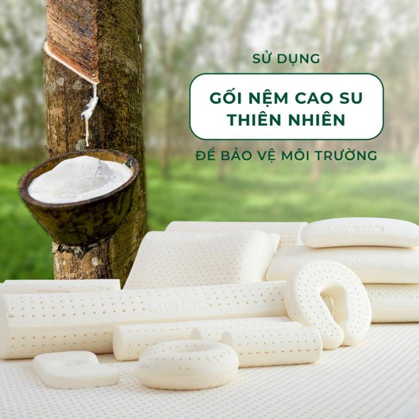gối nệm cao su thiên nhiên