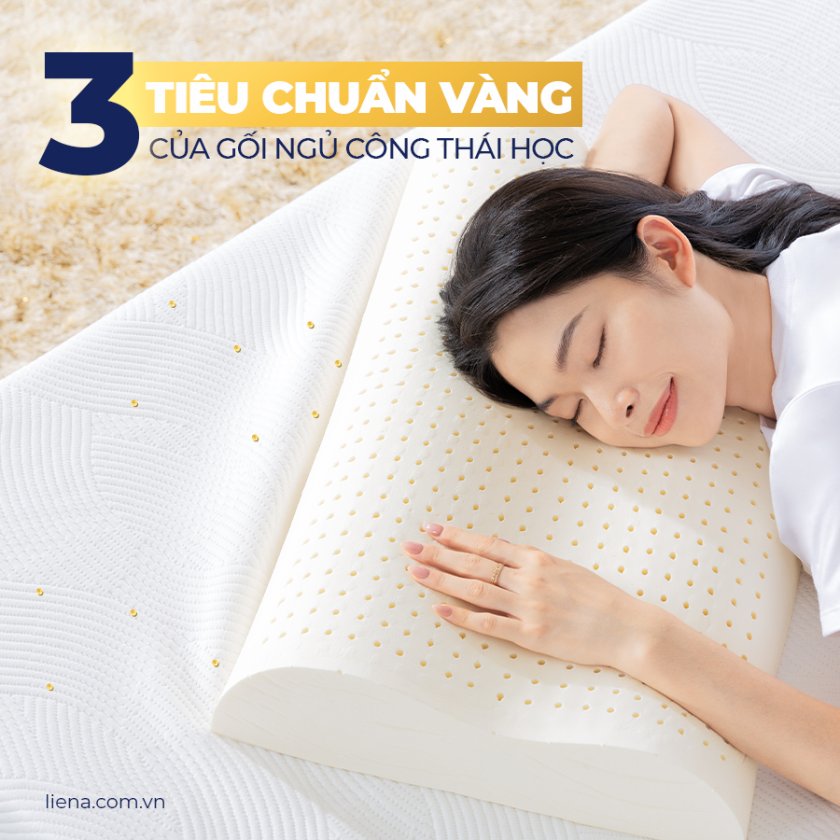 gối ngủ công thái học