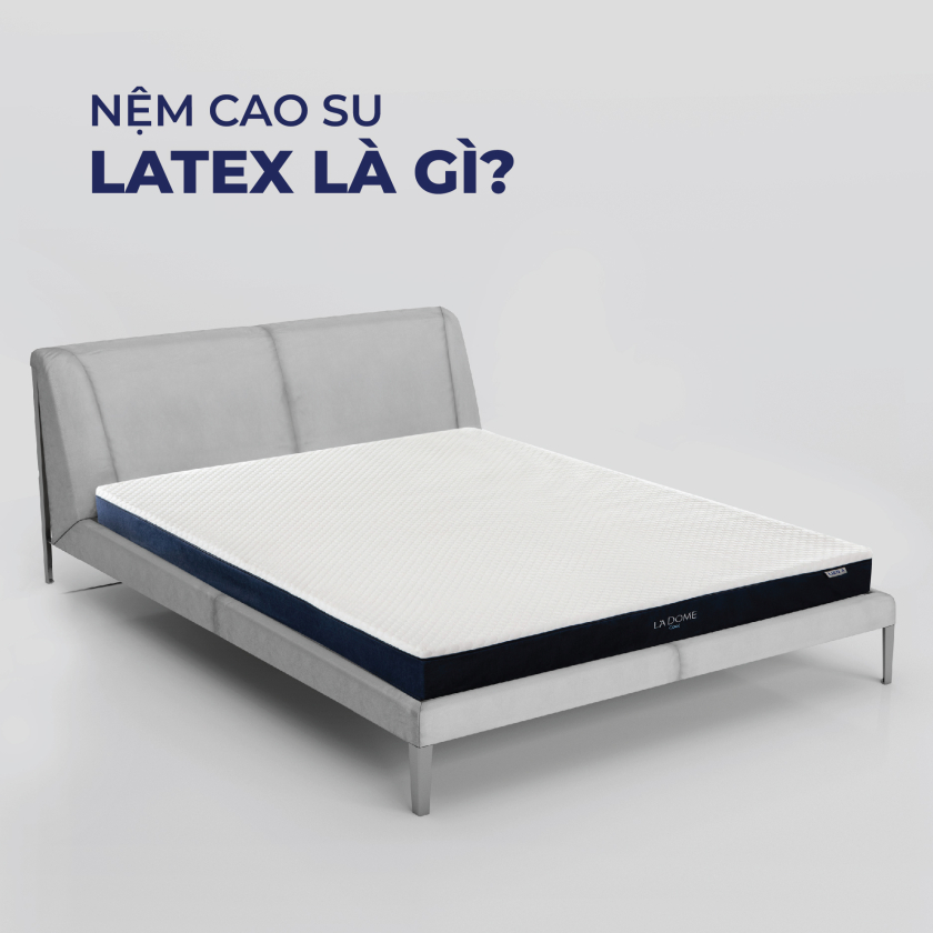 nệm cao su latex