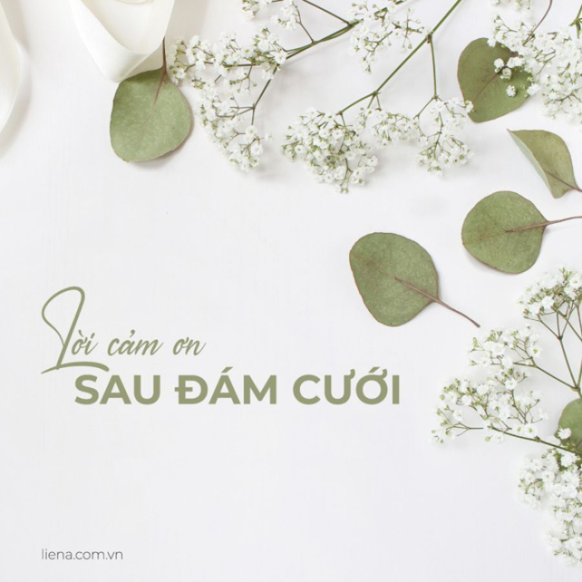 lời cảm ơn sau đám cưới