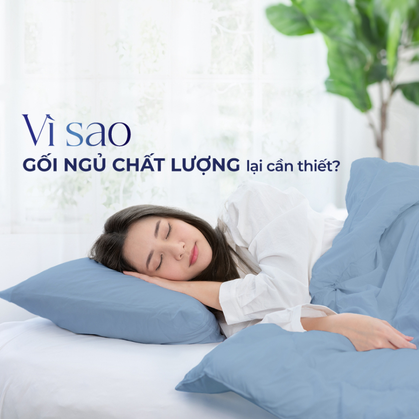 lý do đầu tư gối ngủ chất lượng