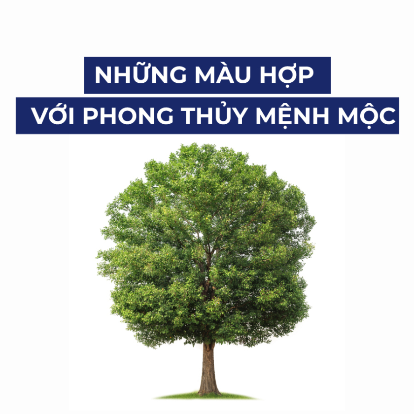 mệnh mộc hợp màu gì