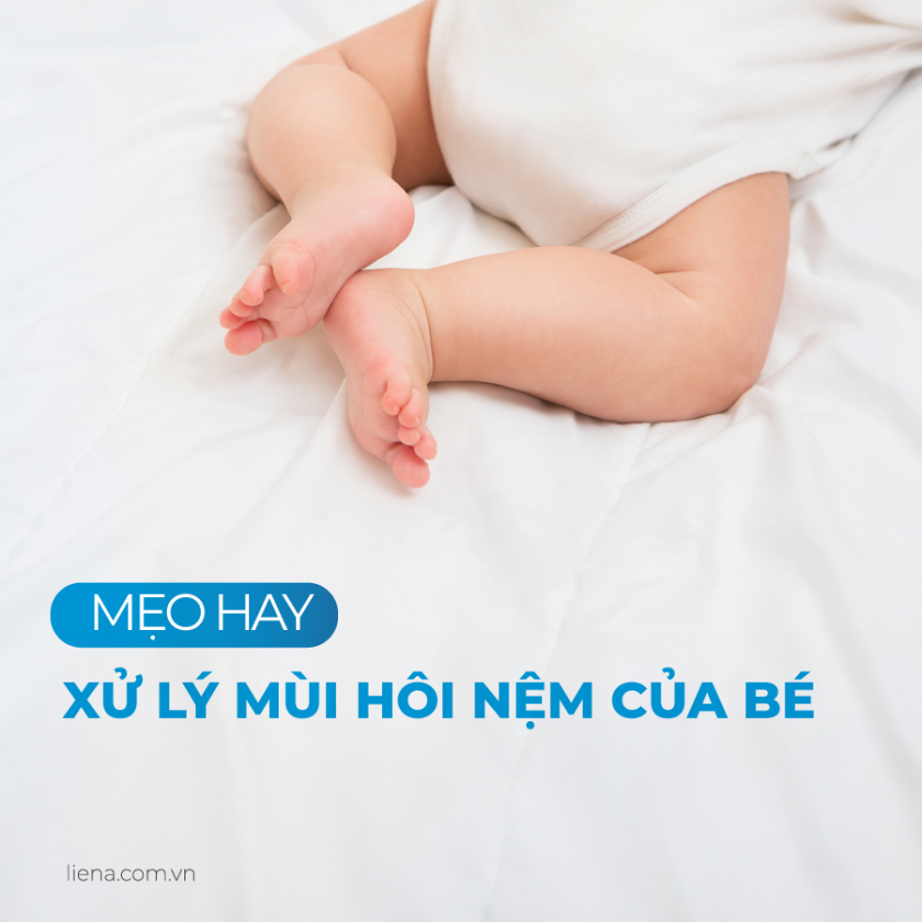 cách xử lý nệm bị tè dầm