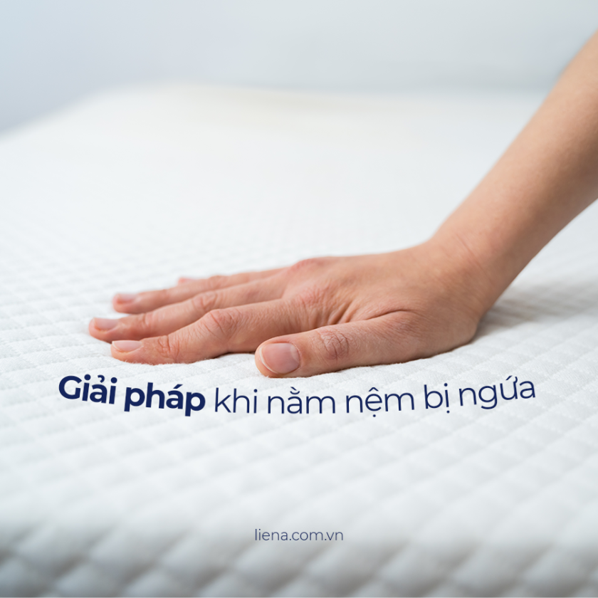 nằm nệm bị ngứa