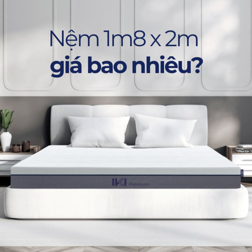 nệm 1m8 x 2m