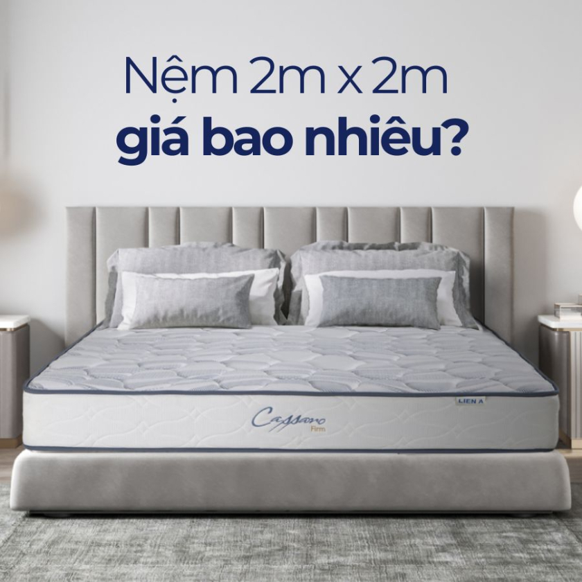 nệm 2m x 2m