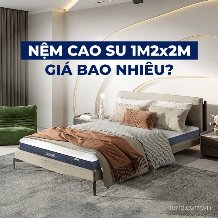 nệm cao su 1m2 x 2m