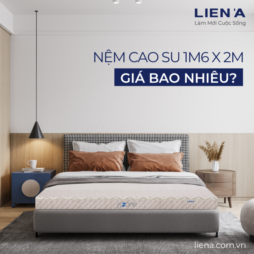nệm cao su 1m6x2m