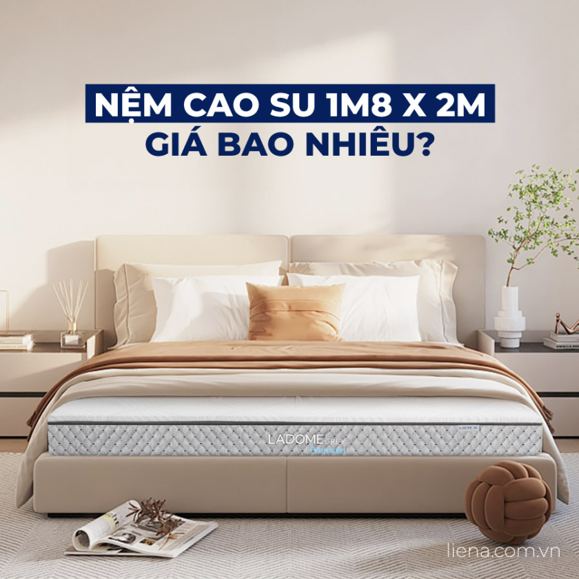 nệm cao su 1m8 x 2m