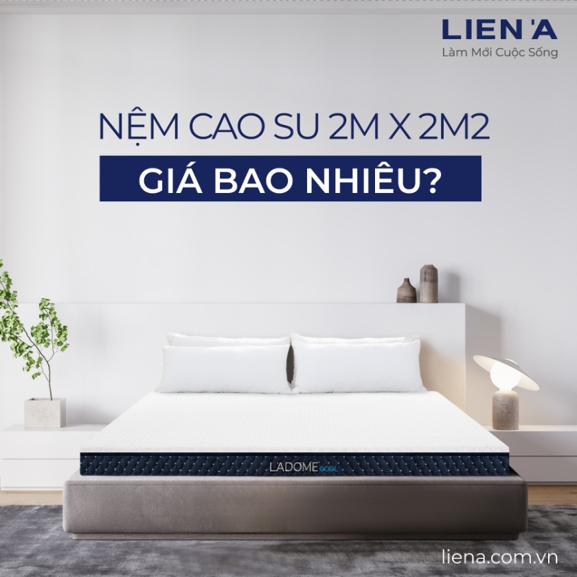 nệm cao su 2m x 2m2