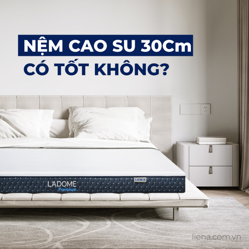 nệm cao su 30cm