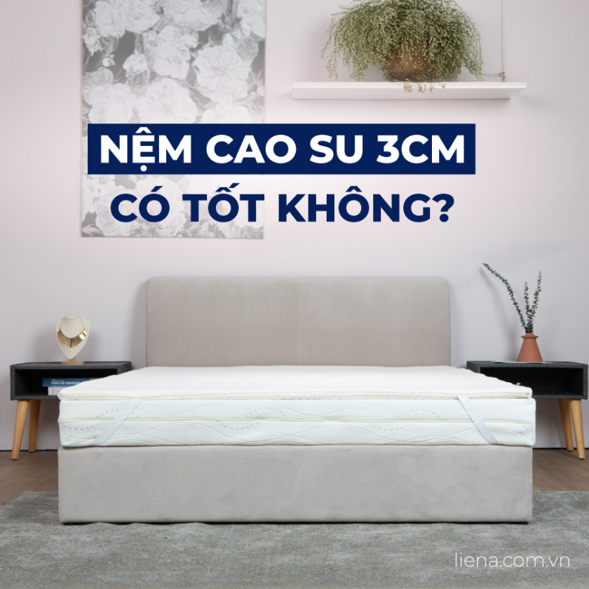 nệm cao su 3cm