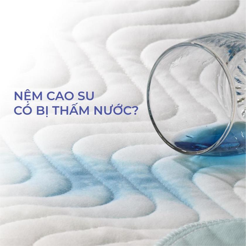 nệm cao su thấm nước