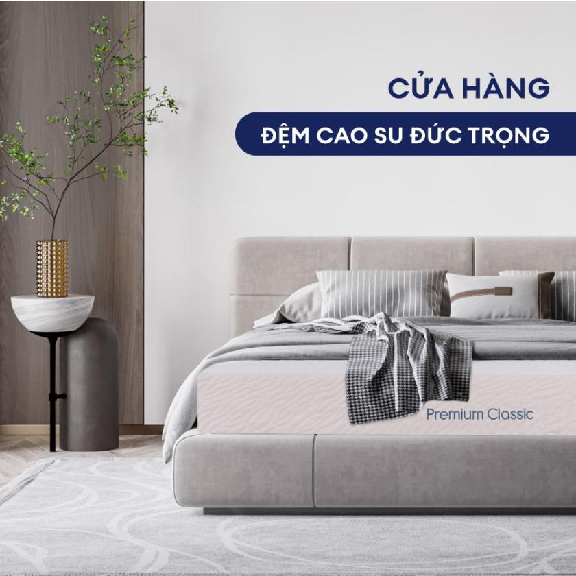 nệm cao su đức trọng
