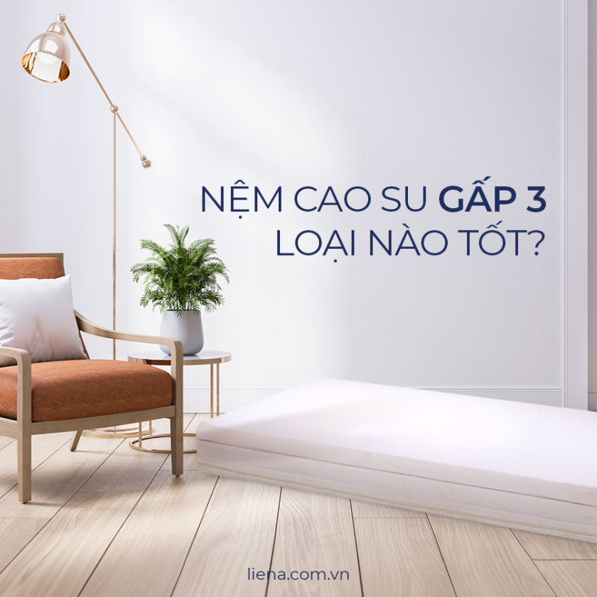 nệm cao su gấp 3 loại nào tốt