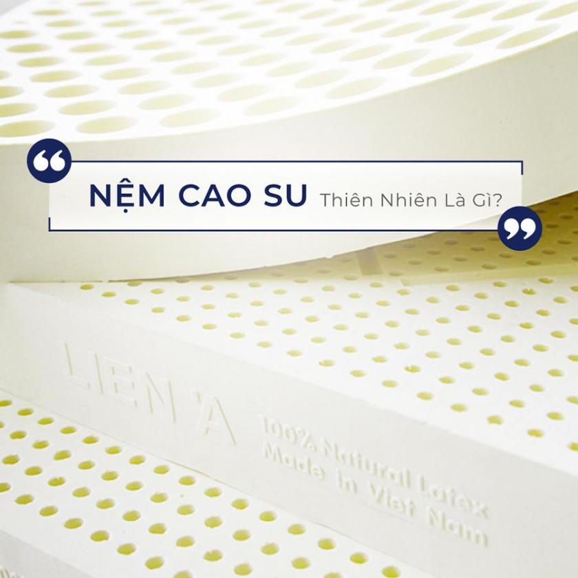 nệm cao su thiên nhiên là gì?