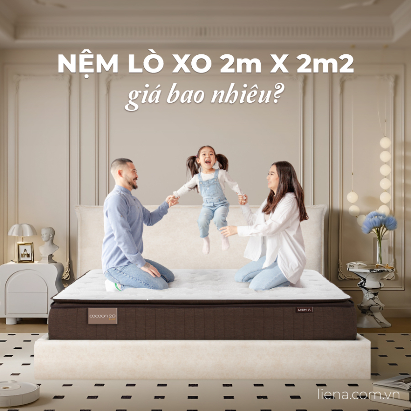 nệm lò xo 2m x 2m2