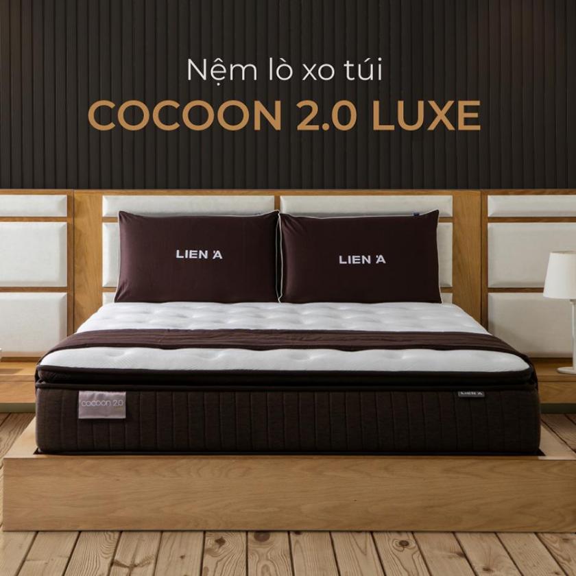 nệm lò xo túi cocoon 2.0 luxe