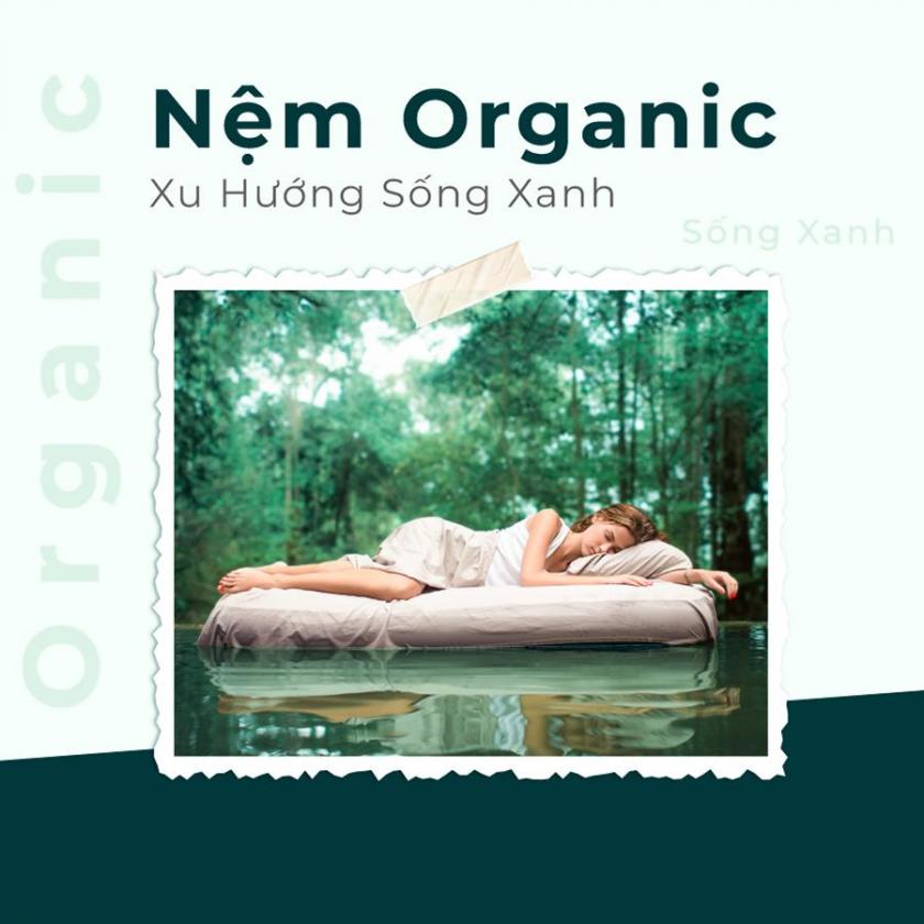 nệm cao su thiên nhiên organic