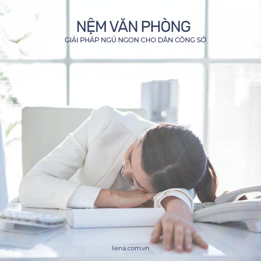 nệm ngủ văn phòng gấp gọn