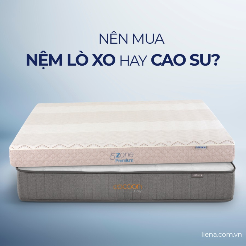 Nên mua nệm lò xo hay cao su? Tiêu chí so sánh từ chuyên gia
