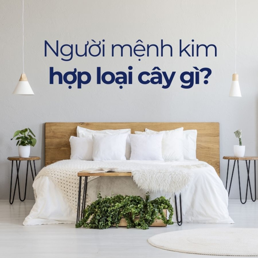 mệnh kim hợp cây gì