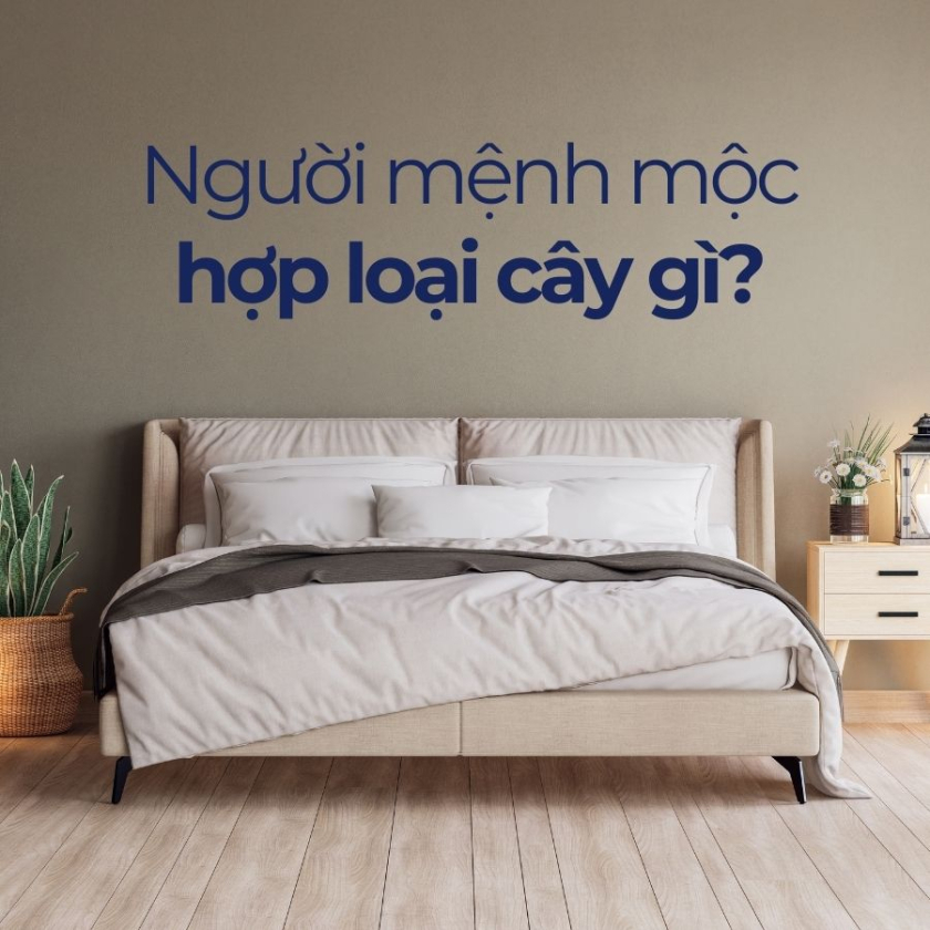 mệnh mộc hợp cây gì