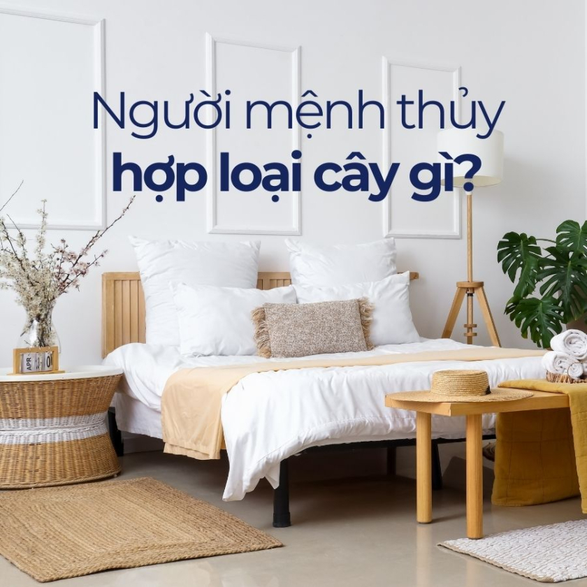 mệnh thủy hợp cây gì