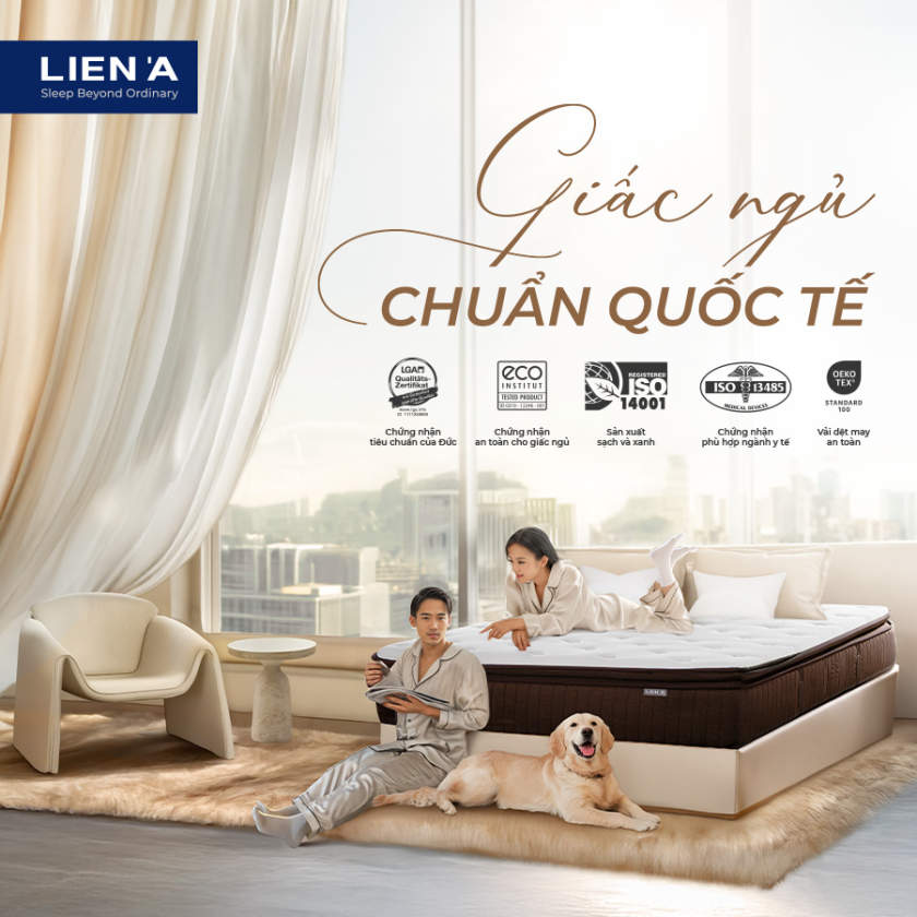 TRAO GIẤC NGỦ CHẤT LƯỢNG - GỬI TRỌN YÊU THƯƠNG