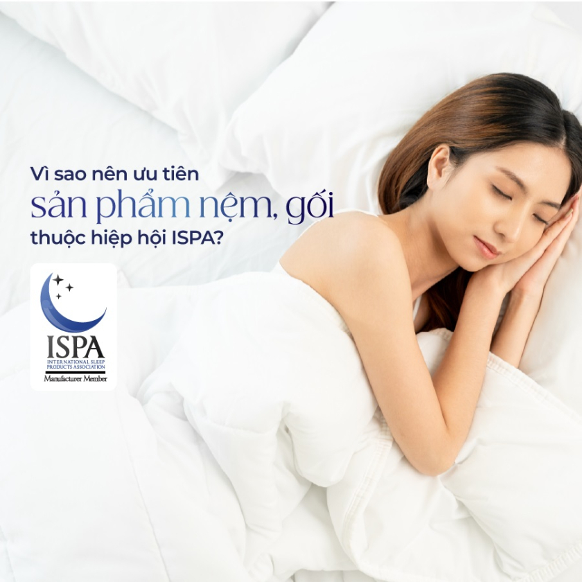 Vì sao nên chọn nệm từ thương hiệu thuộc hiệp hội ISPA?