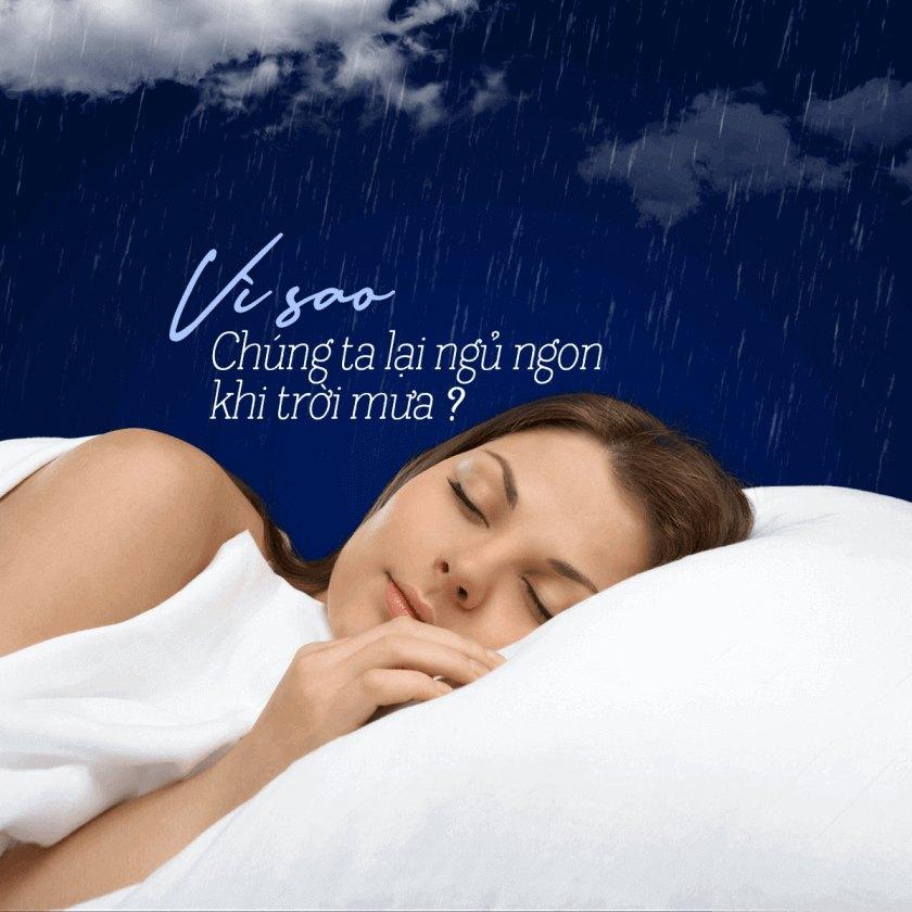 ngủ ngon khi trời mưa