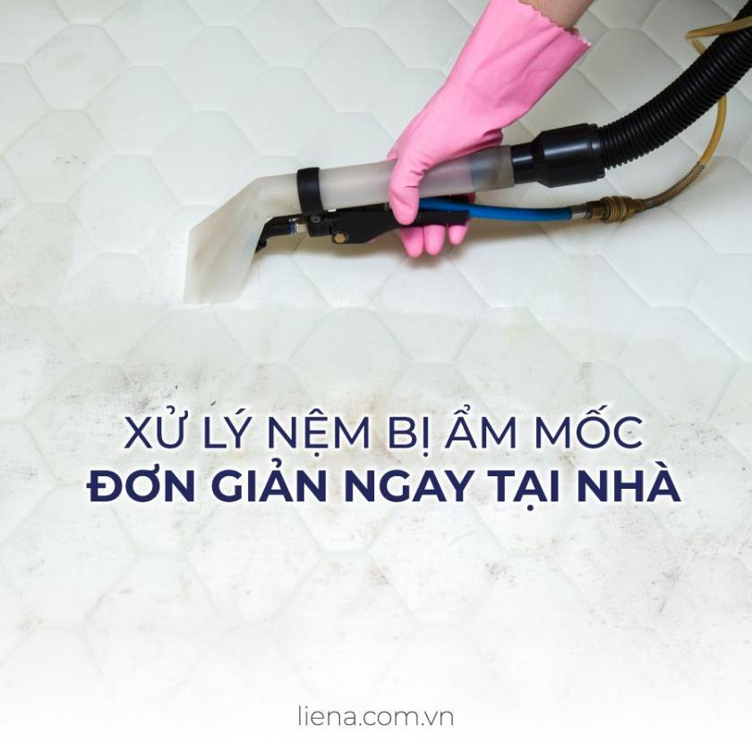 xử lý nệm bị ẩm mốc