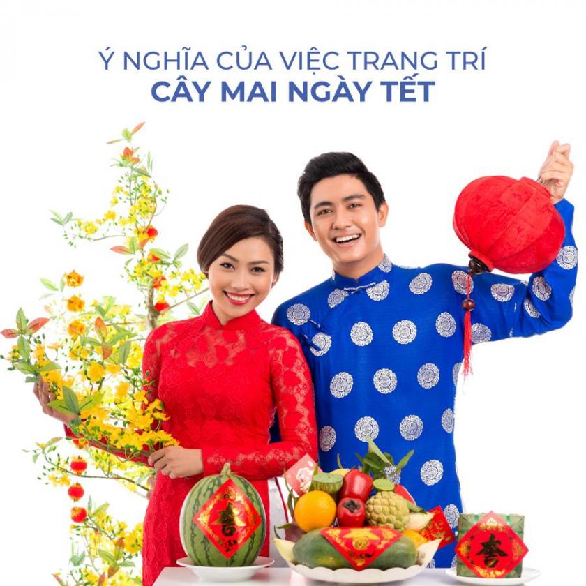 ý nghĩa trang trí cây mai