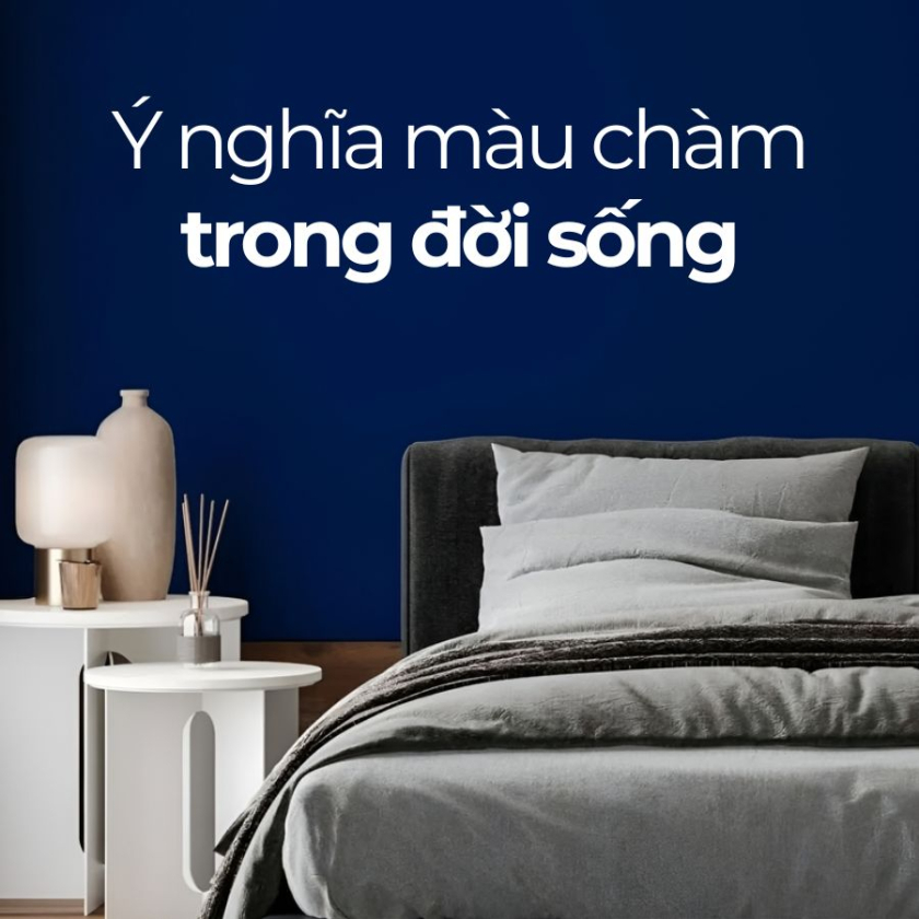 mau cham