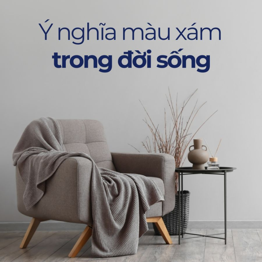 mau xam