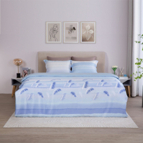 chăn drap màu xanh