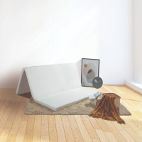 NỆM CAO SU GẤP FOLDAWAY
