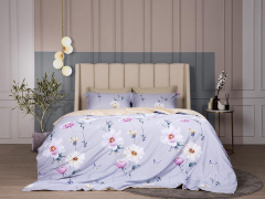 Bộ drap cotton Glenda