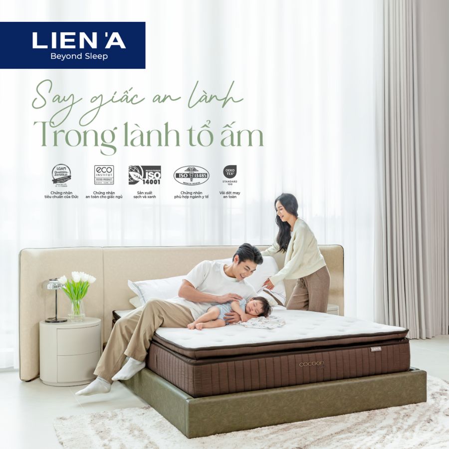 Lành cho giấc ngủ - Xanh cho trái đất