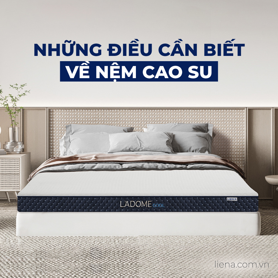 Top 8 loại nệm cao su tốt nhất hiện nay của Liên Á