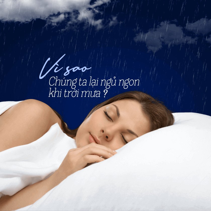 VÌ SAO CHÚNG TA LẠI NGỦ NGON HƠN KHI TRỜI MƯA?