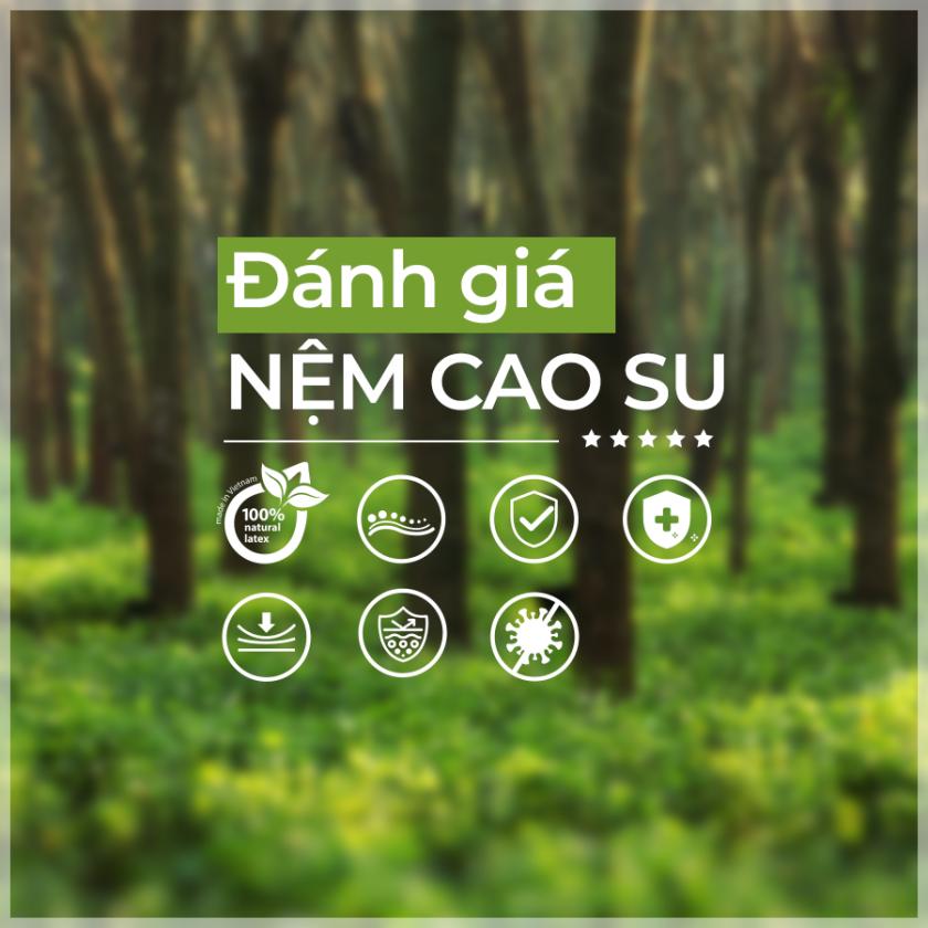 NHỮNG TIÊU CHÍ ĐÁNH GIÁ NỆM CAO SU CHẤT LƯỢNG