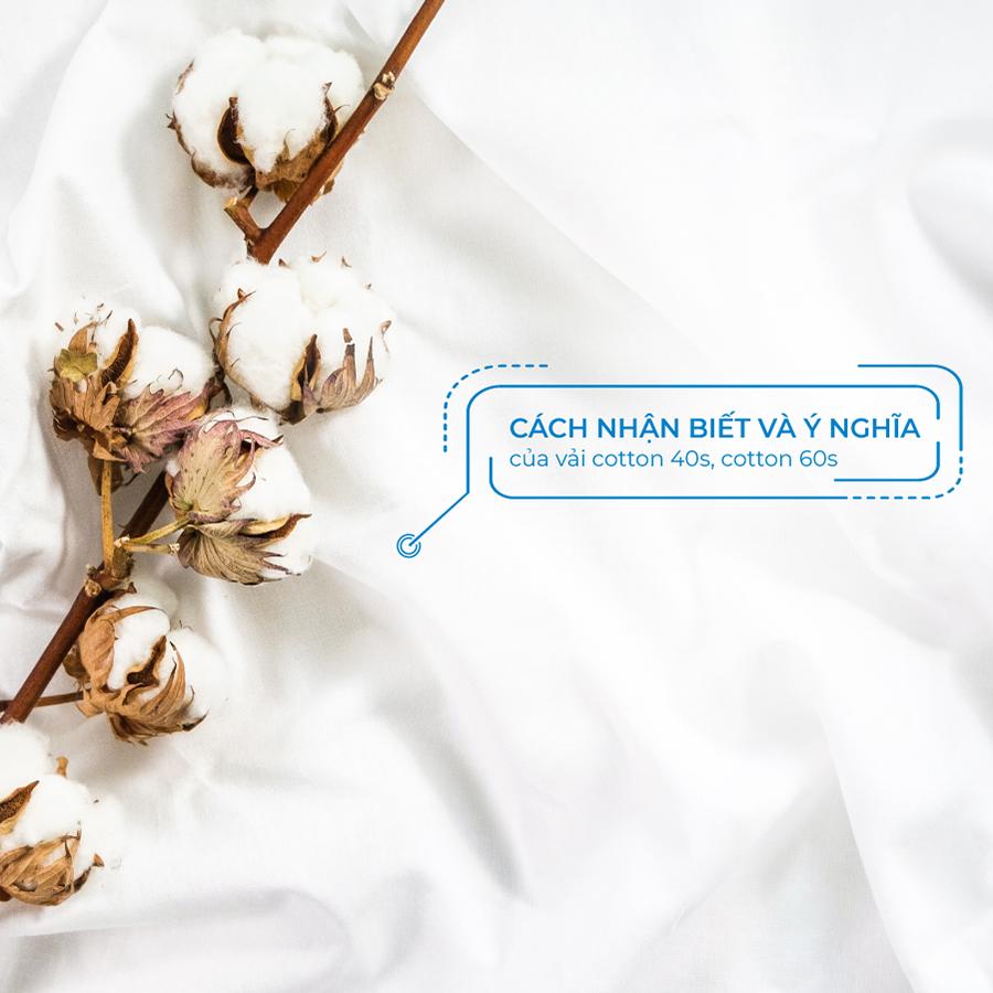 Cách Nhận Biết Và Ý Nghĩa Của Vải Cotton 40s, Cotton 60s Cách Nhận Biết Và Ý Nghĩa Của Vải Cotton 40s, Cotton 60s