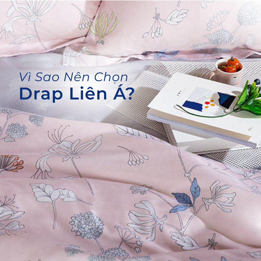 Vì Sao Nên Chọn Drap Liên Á 