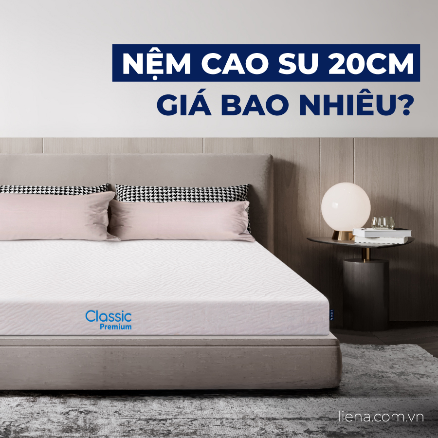 [Cập nhật 2025] Nệm cao su 20cm giá bao nhiêu?