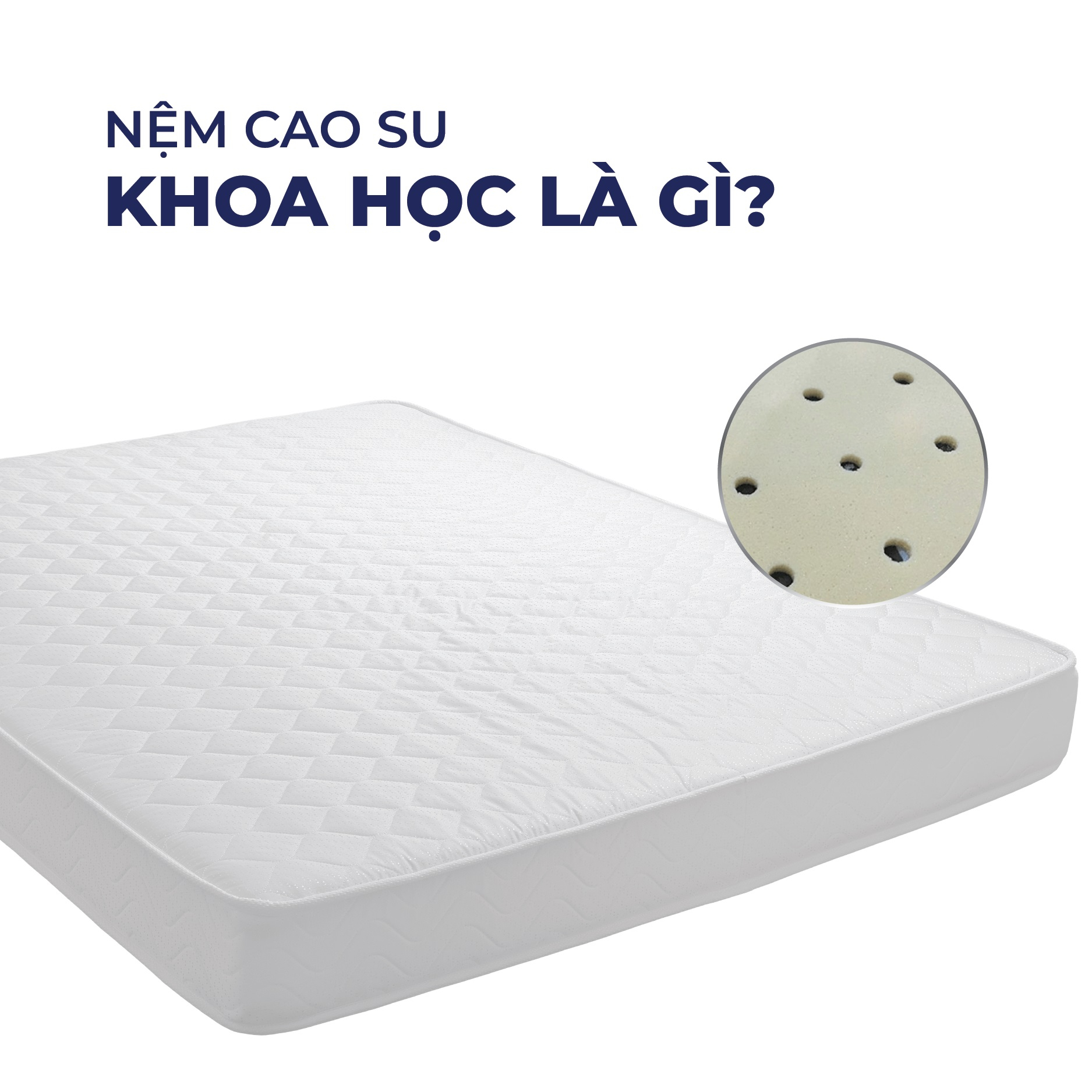 Nệm cao su khoa học là gì? Ảnh hưởng thế nào đến sức khỏe?