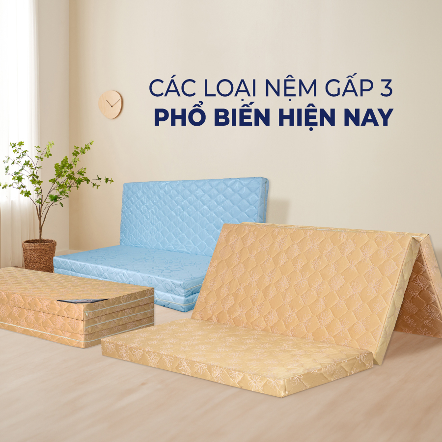 Chi tiết các kích thước nệm gấp 3 phổ biến nhất hiện nay Chi tiết các kích thước nệm gấp 3 phổ biến nhất hiện nay